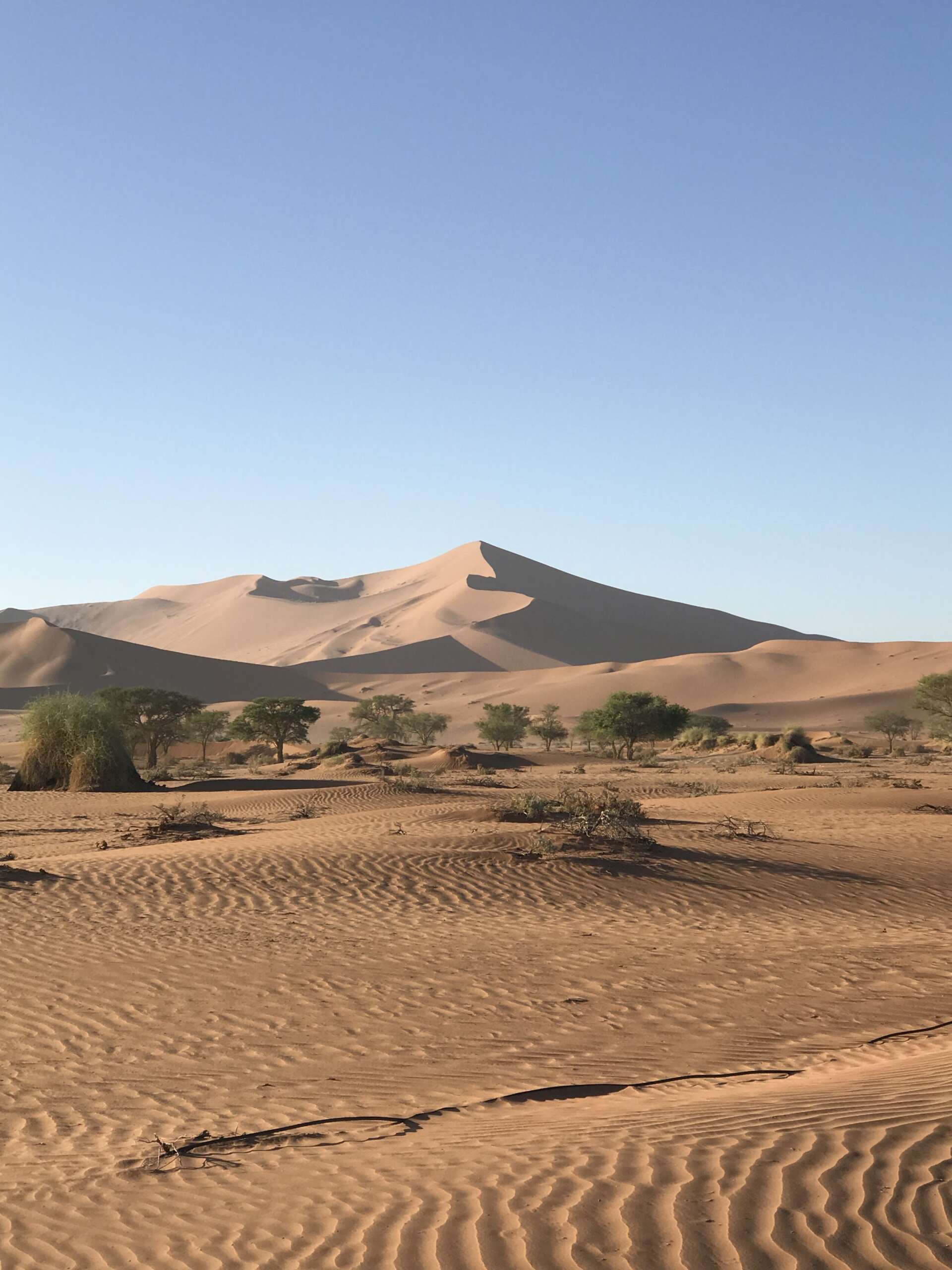 Je suis Naumi Amfreville coach personnel